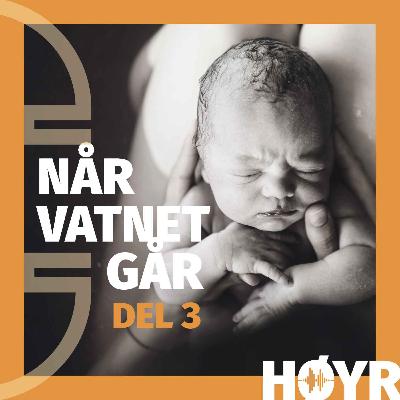 Når vatnet går: "Eg føder i ambulansen no"