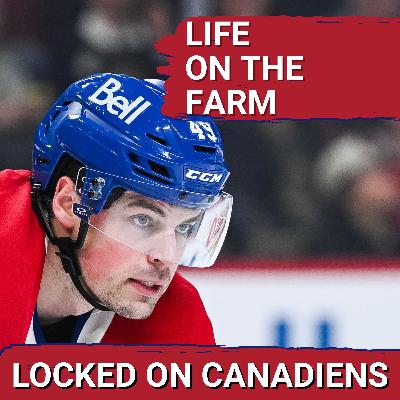 Laval Rocket Poised for HUGE Season | AHL Check-In with Scott Matla: Call Up Options + Top Prospects