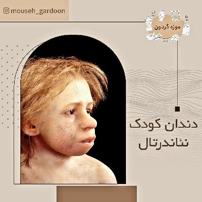دندان کودک نئاندرتال دندان کودک نئاندرتال