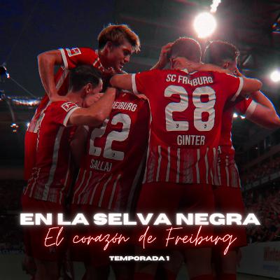 ¡Bienvenidos a La Selva Negra! El corazón de Freiburg.