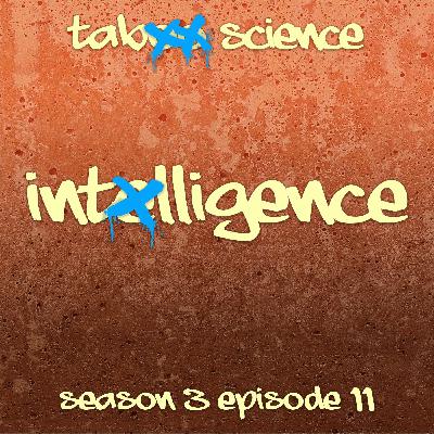 IQ / Intelligence (with Dr. Steven Piantadosi)