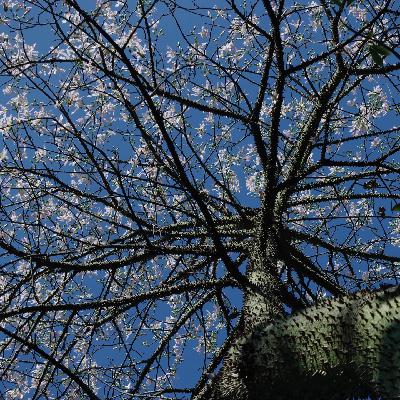 R&B游荡者的留步时分 R&B游荡者的留步时分