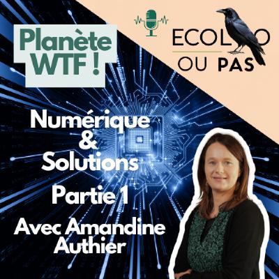 Planète WTF : Numérique et solutions, 1ère Partie avec Amandine Authier