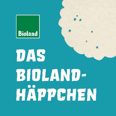 Wie ticken Wildbienen eigentlich? Wie ticken Wildbienen eigentlich?