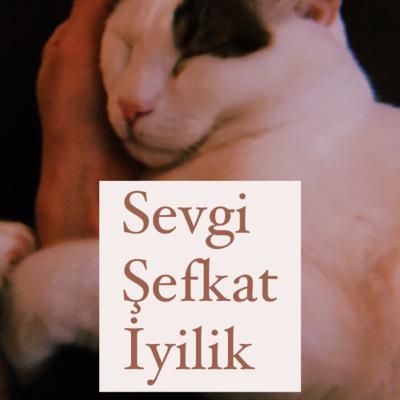 Sevgi ve İyilik Meditasyonu