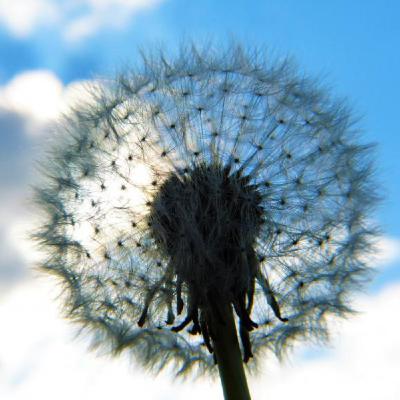 珍．羅伯茲詩選〉說法者的對話