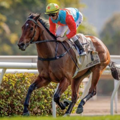 Punter's Preamble - 2025 Everest Day Punter's Preamble - 2025 Everest Day