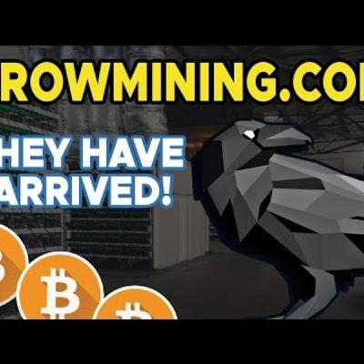 CROWMINING.com - They Have Arrived! 😱💯💰