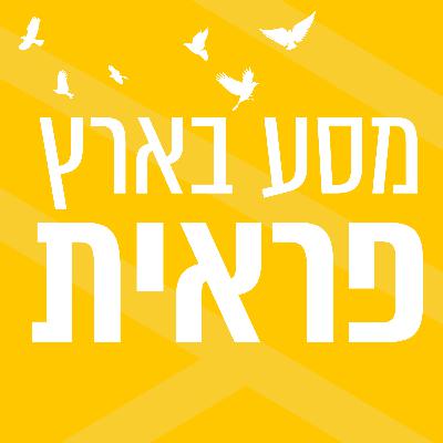 מסע בארץ פראית | שירי ג'ורנו