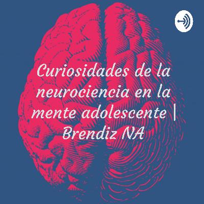 Curiosidades de la neurociencia en el cerebro adolescente | Brendiz NA