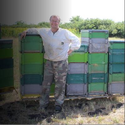 Teendők méhmérgezés esetén - Tóth Péter 2021