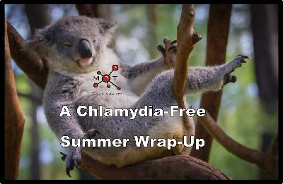 A Chlamydia-Free Summer Wrap-Up A Chlamydia-Free Summer Wrap-Up