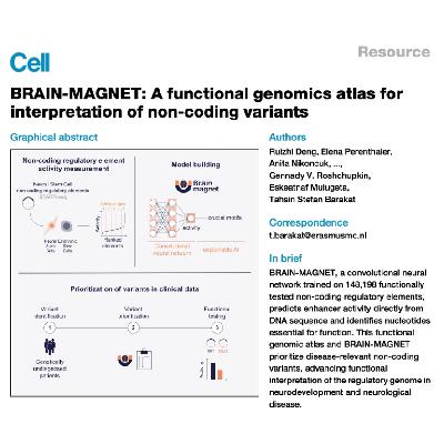 295-BRAIN-MAGNET Atlas of Non-Coding Regulatory Elements 295-BRAIN-MAGNET Atlas of Non-Coding Regulatory Elements