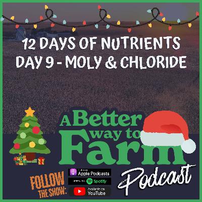 12 Days of Nutrients - Day 9: Moly & Chloride