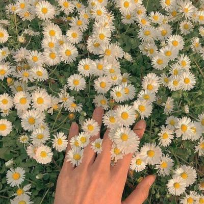 #6 Ai rồi cũng thay đổi...