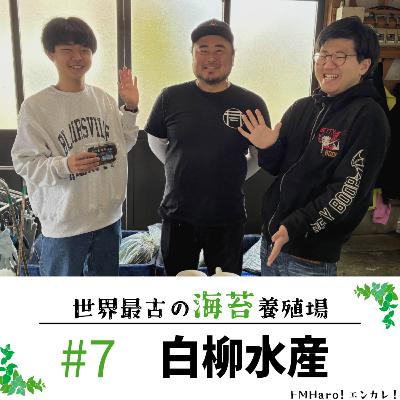 #7 実は浜名湖発？！海苔養殖を行う白柳水産さんをフカボリ！