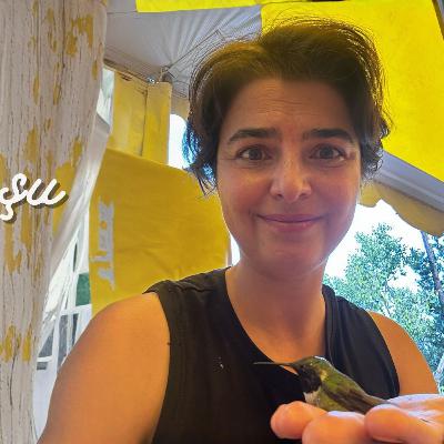 Mini sinekkuşu hikayesi ve şefkatle bağlantısı Mini sinekkuşu hikayesi ve şefkatle bağlantısı