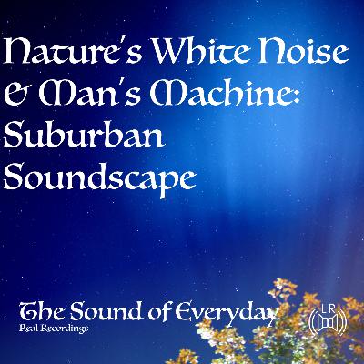 Nature's White Noise & Man's Machine: Suburban Soundscape - Relaxing Nature Sound