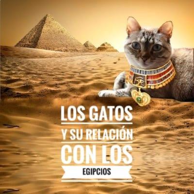 Los gatos y su relación con los egipcios