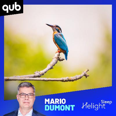 Voici pourquoi il y a autant d’oiseaux sur les fils en hiver!