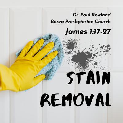 Stain Removal Stain Removal