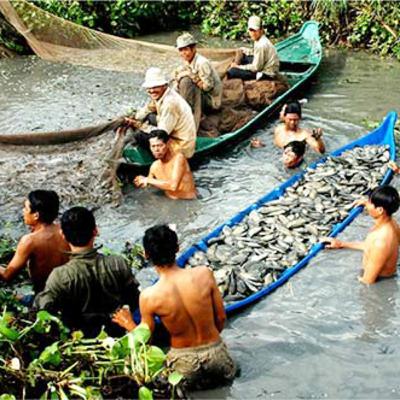 Tập 4 Ký ức tuổi thơ - Kéo lưới cá đồng mùa nước nổi