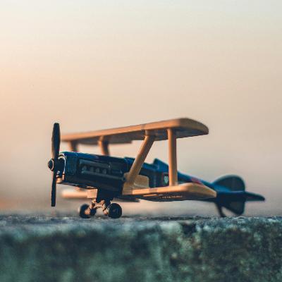 Wings and shapes Wings and shapes