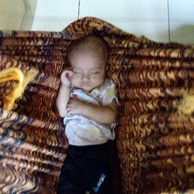 M. Ali Al-Hasan M. Ali Al-Hasan