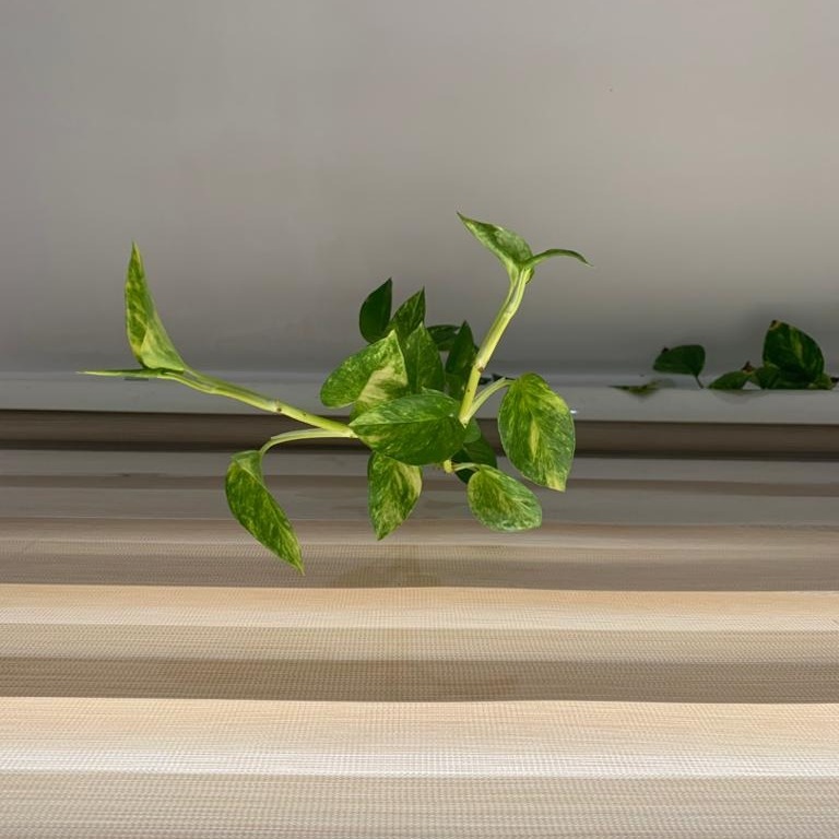 نامه هایی به خودم نامه هایی به خودم