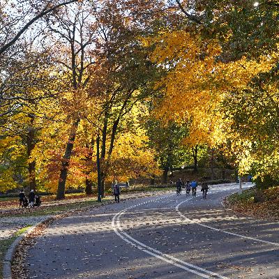 Central Park Conservancy hears concerns from park-goers about e-bikes endangering the public Central Park Conservancy hears concerns from park-goers about e-bikes endangering the public