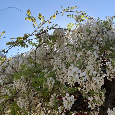 インタビュー_江上里絵子_12.2023_GAMOYON Gallery