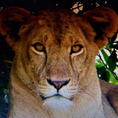 11- África IV: La riqueza del continente más pobre