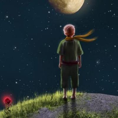 Čega mi je sve pun kurac