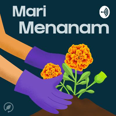 MM 24: Semprotan Pembasmi Hama dari Kulit Jeruk