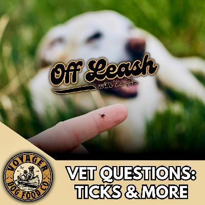 Vet Questions: Ticks and More