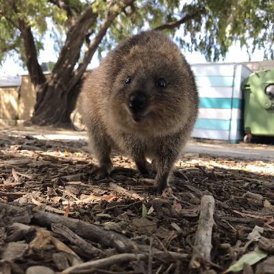 Perth: la città più isolata al mondo