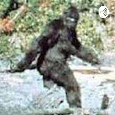 Bigfoot true crime: episode one