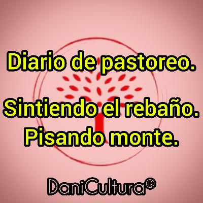 Diario de pastoreo. Sintiendo el rebaño. Pisando monte.