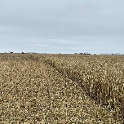 Farm Talk: Farmers meet with Congresswoman Julie Fedorchak