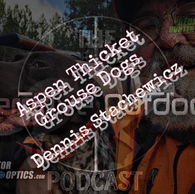 Aspen Thicket Grouse Dogs- Dennis Stachewicz