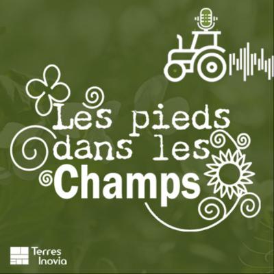 Le chanvre ? des débouchés infinis et un excellent précédent pour le blé selon Anicet Bretagne (S4-EP5)