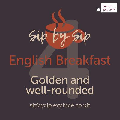 Cup 4, English Breakfast: Golden and well-rounded