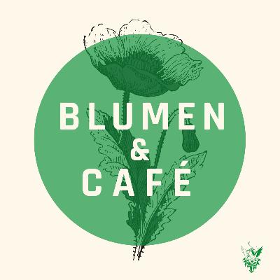 #1 Nachhaltigkeit bei Zimmerpflanzen