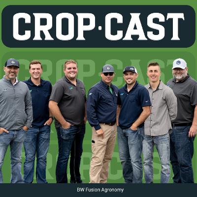 #32: Crop Stress – An Agronomy Roundtable