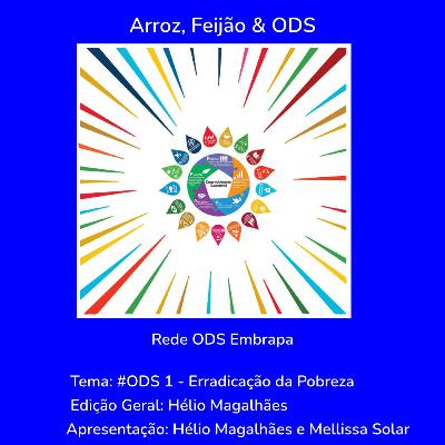 # ODS 1 - Erradicação da Pobreza