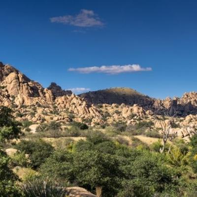 Cocina de Nuevo México y California Cocina de Nuevo México y California