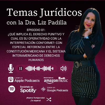 EP01 T03: ¿Qué implica el Derecho Punitivo y cual es su Operatividad con la Interpretación Conforme?: Con especial referencia entre la Constitución Mexicana y el Sistema Interamericano