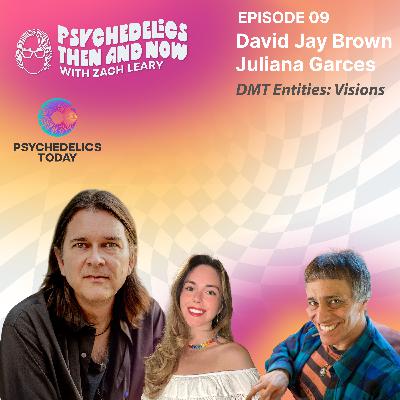 Episode 09 - David Jay Brown and Juliana Garces: DMT Entities: Visions Episode 09 - David Jay Brown and Juliana Garces: DMT Entities: Visions
