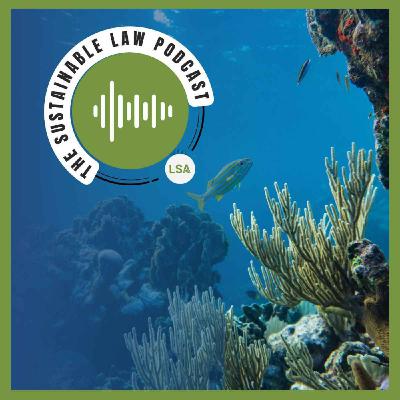 The Changing Face of Sustainability The Changing Face of Sustainability