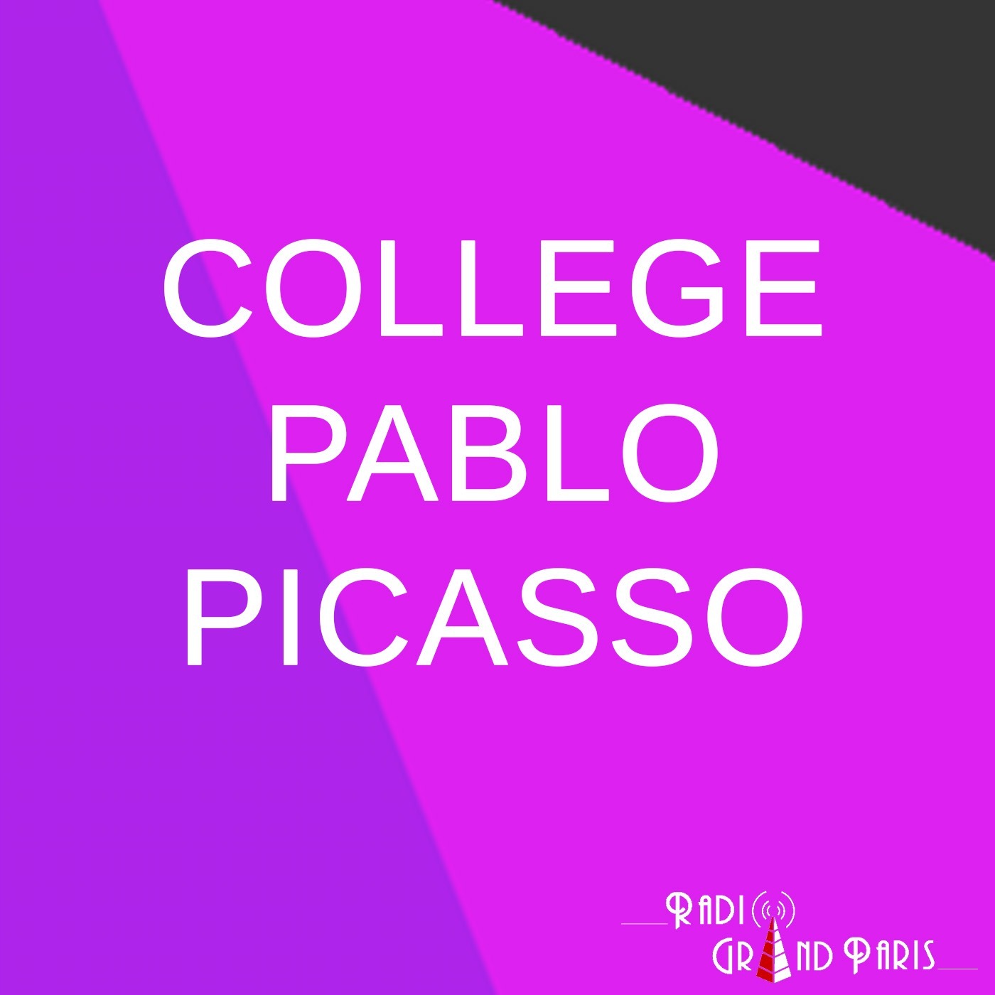 Collège Pablo Picasso